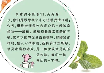 薄荷