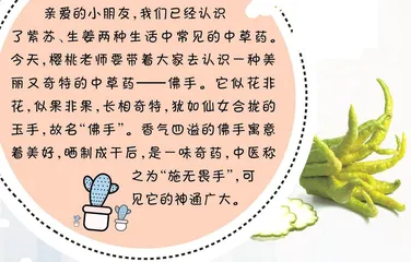 佛手①