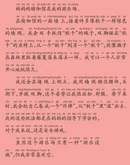 特别的游乐场