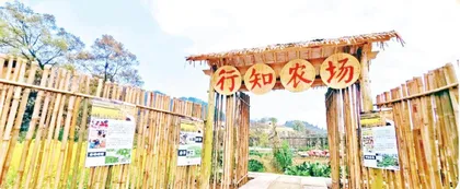 农场的快乐劳动记