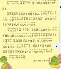 小乌龟怎么了