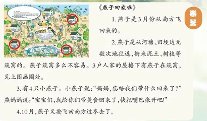 燕子回家啦