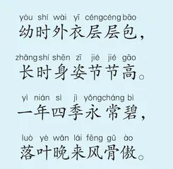 翠竹赋