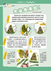 大鲨鱼来啦！
