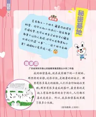 秘密基地