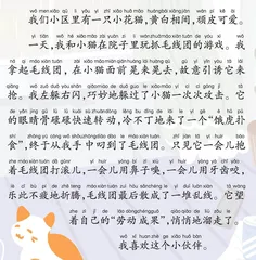 可爱的小花猫