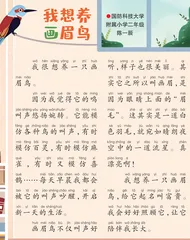 我想养画眉鸟