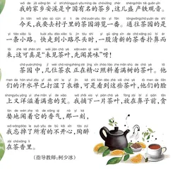 家乡的茶园