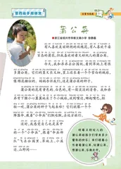 蒲公英2