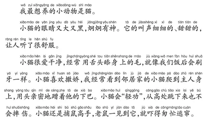 可爱的小猫