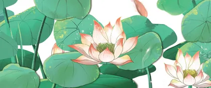 荷花池  