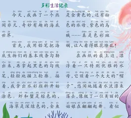 奇妙的海底世界