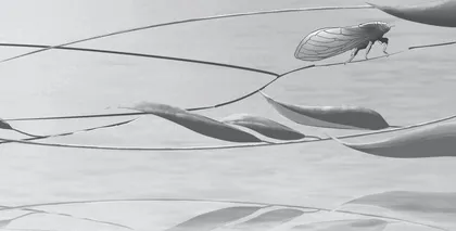 读蝉