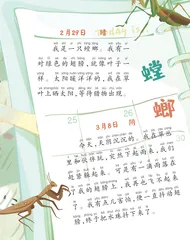 螳螂日记