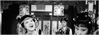 十二花容色最新不知谁是惜花人