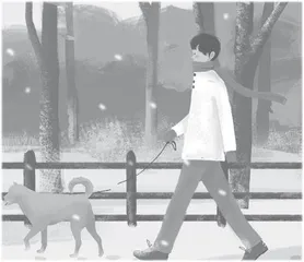变色，落叶植物的防寒法宝