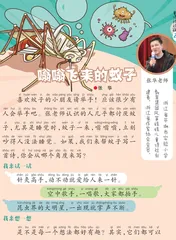 嗡嗡飞来的蚊子