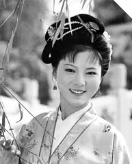 花气袭人知昼暖