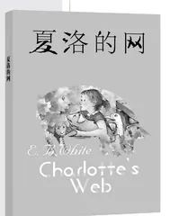 守护的力量