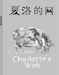 守护的力量