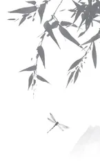 文言文阅读专练