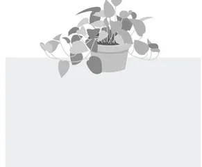 审题要透　立意要新
