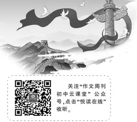 家国情怀