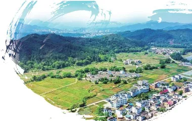乡村生活综艺：打造现代人的“武陵源”