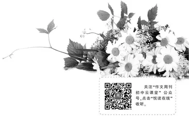淡然之心