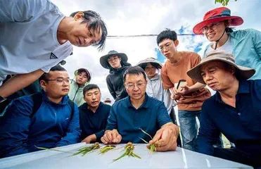 院士张福锁为农作物定“食谱”4