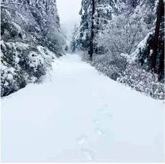 翻山越岭“二郎神”5
