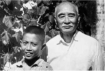 叶兆言:坐在南京这张“凳子”上写南京5