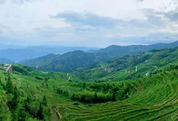 王跃文,湘西有一座“家山”2