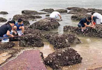 靠海吃海,澳门寻鲜2