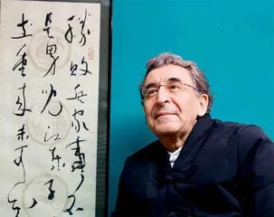 没想到我的建议入了法