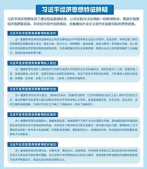 一图纵览习近平经济思想的丰富内涵1