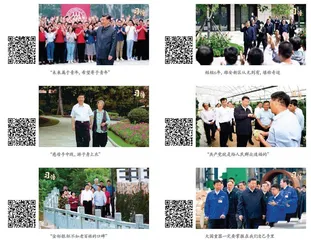 系列视频：习语