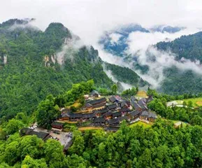 十年蝶变,活了人心1
