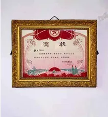 半生为国,半生为家2