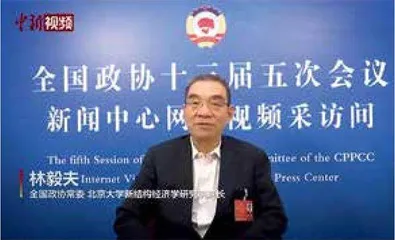 专访林毅夫:中国高质量发展有两大优势1