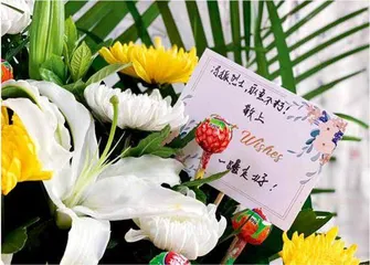 再见,班长4