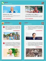 环球新媒体4