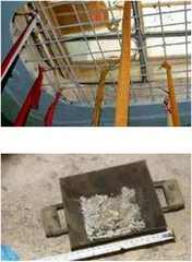 拉利特一家的死亡日记2