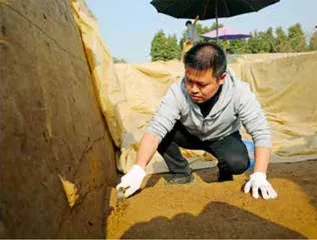 冉宏林,和“少年”三星堆一起奔跑7