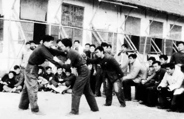 杨武能,走进德国文学的“魔山”1