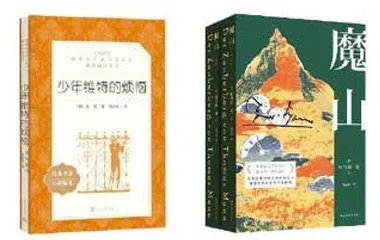 杨武能,走进德国文学的“魔山”3