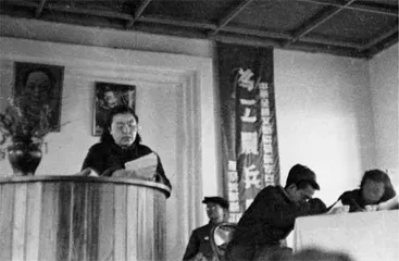 春花烂漫:“我爱这群人爱这段生活”2