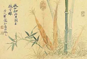 此笋可待成追忆1