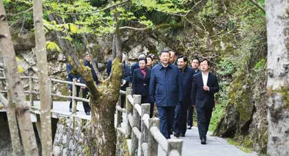 人不负青山,青山定不负人3