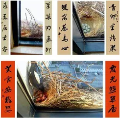 书法家王振,以经典唤醒日常1